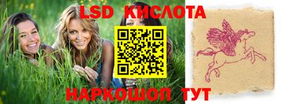 mdpv Славгород