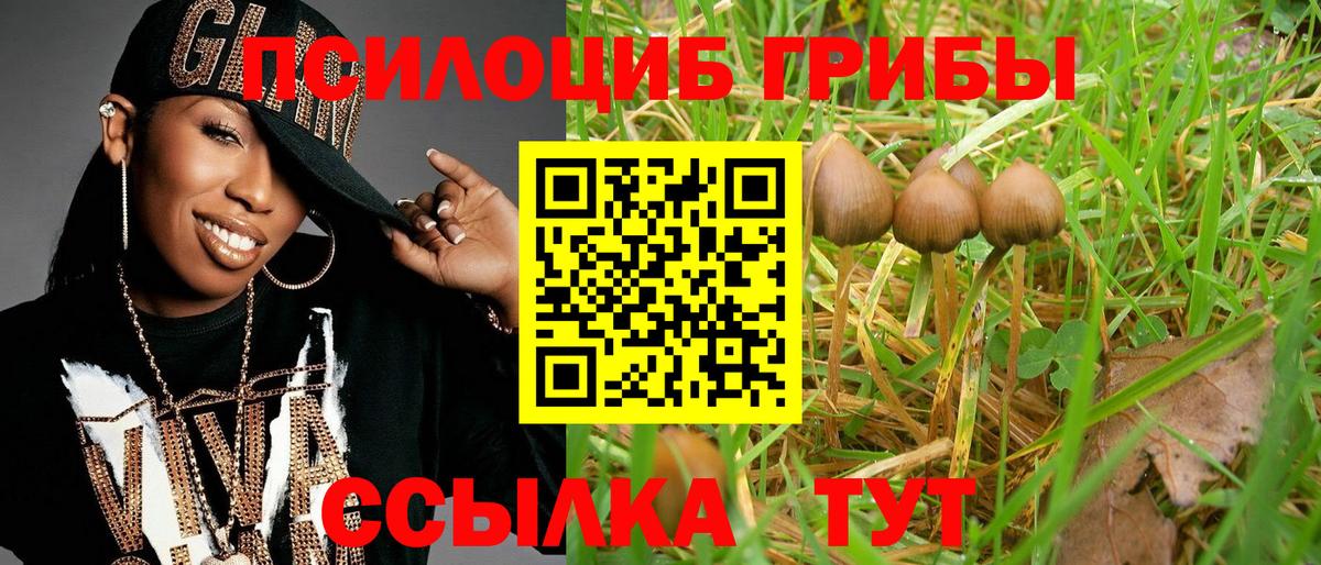 Новосибирск  Псилоцибиновые грибы MAGIC MUSHROOMS  Вход с VPN 